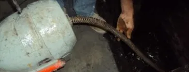 La imagen 4 de la Empresa LIMSAMEX en Ecatepec De Morelos MEX