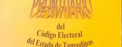 La imagen 28 de la Empresa LOPEZ SANAVIA ENRIQUE Servicios Legales y Financieros en Ciudad Victoria TAM