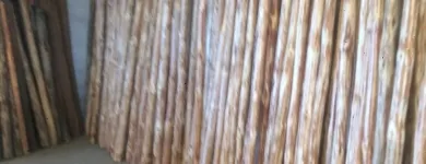 La imagen 7 de la Empresa MADERERIA EL CAMPO Maquinaria, Equipos y Servicios en Torreón COA