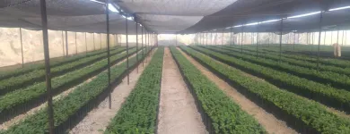 La imagen 6 de la Empresa MALLAS & PLASTICOS DEL PACIFICO Sistemas y Equipos de Riego en Tepic NAY