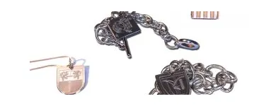 La imagen 2 de la Empresa MESIC en San Luis Potosí SLP