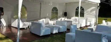 La imagen 1 de la Empresa MOBILIARIO PARA FIESTAS SERVIFIESTAS LS Servicios Profesionales y de Negocios en La Paz BCS