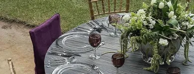 La imagen 3 de la Empresa MOBILIARIO PARA FIESTAS SERVIFIESTAS LS Servicios Profesionales y de Negocios en La Paz BCS