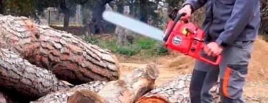 La imagen 3 de la Empresa MOTOSIERRAS Y SERVICIO DEL PUERTO Maquinaria, Equipos y Servicios en Puerto Escondido OAX