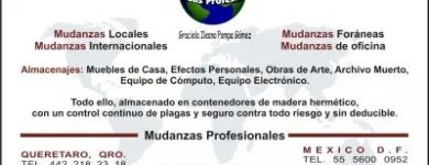 La imagen 1 de la Empresa MUDANZAS PROFESIONALES Motos y Repuestos en Ciudad De México CMX