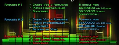 La imagen 5 de la Empresa MÚSICA VERSÁTIL DUETO VOZ Y ROMANCE Grupos e Instrumentos Musicales en Toluca De Lerdo MEX