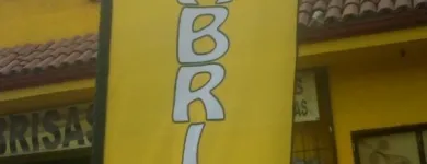 La imagen 5 de la Empresa PARABRISAS AUTOMOTRICES Refacciones y Accesorios para Automóviles y Camiones en Querétaro QUE