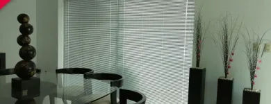 La imagen 10 de la Empresa PERSIANAS MODERNAS Servicios Profesionales y de Negocios en San Luis Potosí SLP