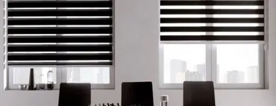 La imagen 21 de la Empresa PERSIANAS MODERNAS Servicios Profesionales y de Negocios en San Luis Potosí SLP