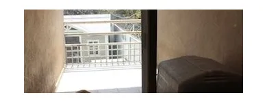 La imagen 3 de la Empresa PET ENTERTAINMENT CENTER Tiendas de mascotas en Cuernavaca MOR