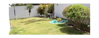 La imagen 6 de la Empresa PET ENTERTAINMENT CENTER Tiendas de mascotas en Cuernavaca MOR