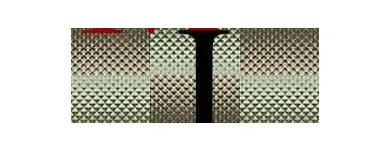 La imagen 6 de la Empresa PLAGA-EXTINT SOLUTIONS Servicios Profesionales y de Negocios en Cuautitlán Izcalli MEX