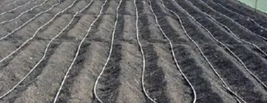 La imagen 3 de la Empresa PLASTICALIDAD GOM Maquinaria, Equipos y Servicios en Ficticio PUE