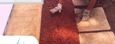 La imagen 7 de la Empresa PROYECTA Y ALINEA, SERVICIOS INTEGRALES, S.A. DE C.V. Servicios Profesionales y de Negocios en Cuernavaca MOR