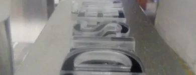 La imagen 1 de la Empresa PUBL&DISEÑO 3D Servicios Profesionales y de Negocios en Puebla MEX