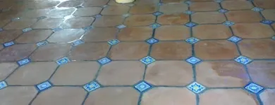 La imagen 36 de la Empresa PULI-PISOS Servicios Profesionales y de Negocios en Cuernavaca MOR