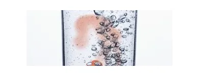 La imagen 6 de la Empresa REFILL CREATIVO Servicios Profesionales y de Negocios en Toluca De Lerdo MEX