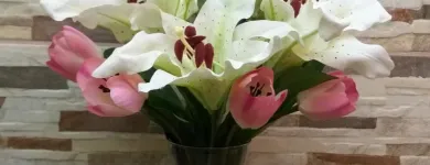 La imagen 19 de la Empresa REGALOS ¡QUE DETALLE! Tiendas de Regalos en Tlalnepantla De Baz MEX