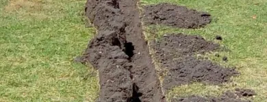 La imagen 2 de la Empresa RIEGO AMBIENTAL GREEN Tuberias y accesorios en Veracruz VER