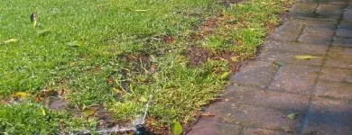 La imagen 5 de la Empresa RIEGO AMBIENTAL GREEN Tuberias y accesorios en Veracruz VER