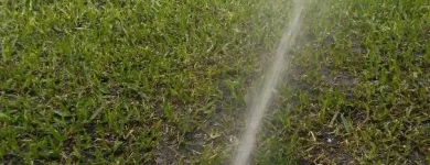 La imagen 6 de la Empresa RIEGO AMBIENTAL GREEN Tuberias y accesorios en Veracruz VER