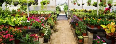 La imagen 3 de la Empresa SANTA FE VIVEROS Sistemas y Equipos de Riego en Tampico TAM