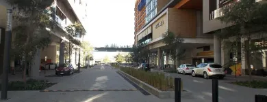 La imagen 2 de la Empresa SEÑOR DOG & SEÑOR CAT Tiendas de mascotas en Monterrey NLE