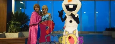La imagen 4 de la Empresa SHOW INFANTIL PINGOS Organización y Realización de Fiestas y Eventos en Veracruz VER