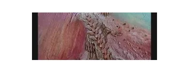 La imagen 15 de la Empresa SM GRAPHICS Servicios Profesionales y de Negocios en Querétaro QUE