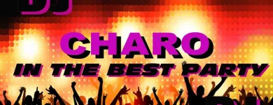 La imagen 3 de la Empresa SONIDO ILUSION Video y Sonido Profesional en Morelia MIC