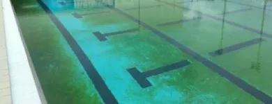 La imagen 4 de la Empresa SPIN REYNOSA Servicios Profesionales y de Negocios en Reynosa TAM