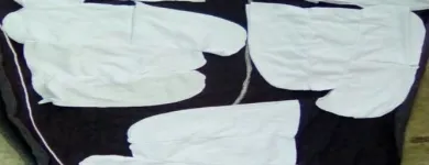 La imagen 3 de la Empresa TRAPOS LA QUEBRADA Tintorerías y lavanderías en Cuautitlán Izcalli MEX