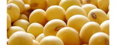 La imagen 1 de la Empresa TREAGRO Fabricantes, Mayoristas y Distribuidoras de Alimentos y Bebidas en Ciudad Delicias CHH