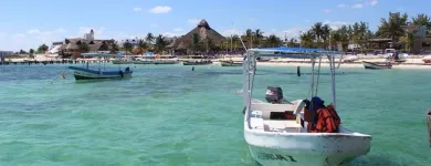 La imagen 1 de la Empresa TROPIC CONEXION Transportes y Turismo en Cancún ROO