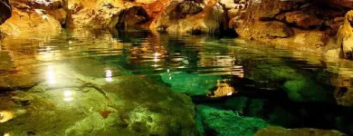 La imagen 3 de la Empresa TROPIC CONEXION Transportes y Turismo en Cancún ROO