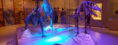 La imagen 4 de la Empresa TROPIC CONEXION Transportes y Turismo en Cancún ROO