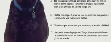 La imagen 5 de la Empresa VETERINARIA DE LOS ÁLAMOS CONSULTORIO en Tijuana BCN