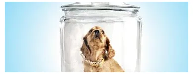 La imagen 3 de la Empresa VETERINARIA PET PLANET en Ciudad De México CMX