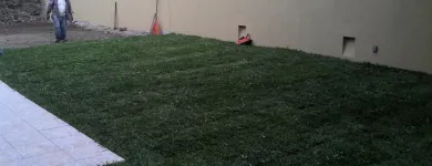 La imagen 4 de la Empresa VIVERO DE MORELOS Servicios Profesionales y de Negocios en Cuernavaca MOR