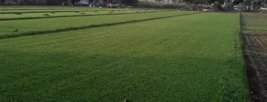 La imagen 5 de la Empresa VIVERO DE MORELOS Servicios Profesionales y de Negocios en Cuernavaca MOR