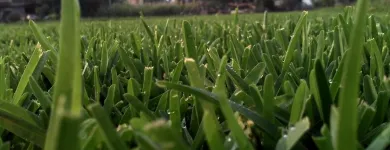 La imagen 6 de la Empresa VIVERO DE MORELOS Servicios Profesionales y de Negocios en Cuernavaca MOR