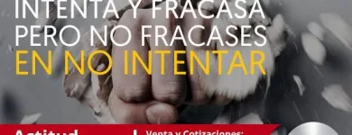 La imagen 104 de la Empresa YONKE COWBOY TIJUANA Servicios Profesionales y de Negocios en Tijuana BCN