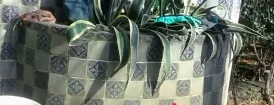 La imagen 31 de la Empresa ZERMA-LIM Servicios Profesionales y de Negocios en Cuernavaca MOR