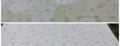 La imagen 33 de la Empresa ZERMA-LIM Servicios Profesionales y de Negocios en Cuernavaca MOR