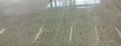 La imagen 41 de la Empresa ZERMA-LIM Servicios Profesionales y de Negocios en Cuernavaca MOR