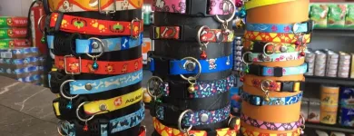 La imagen 9 de la Empresa ZOO BODEGA PURINA Tiendas de mascotas en Aguascalientes MEX