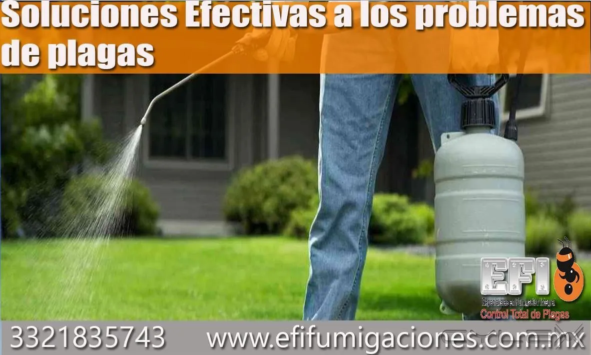 La imagen 3 de la Empresa EFI FUMIGACIONES
