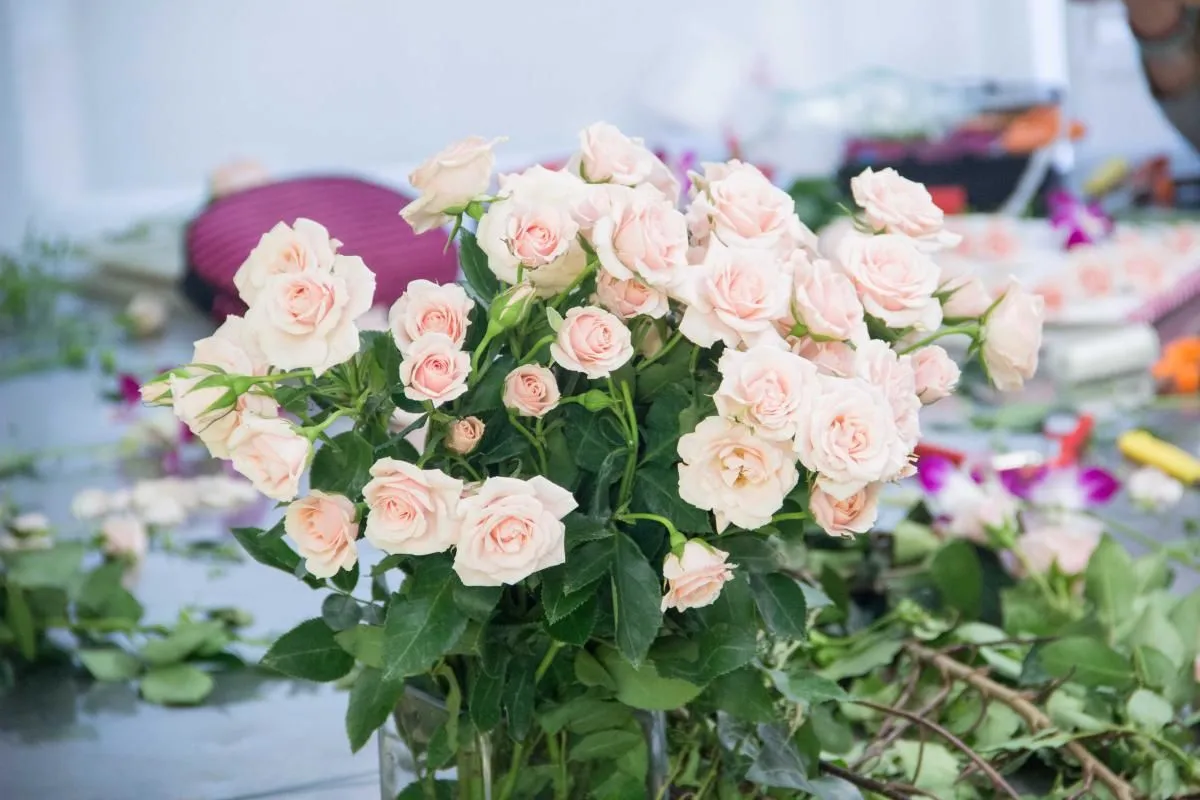 La imagen 4 de la Empresa ESCUELA DE DISEÑO FLORAL CADE