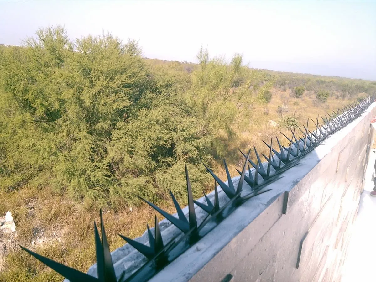 La imagen 3 de la Empresa ALTOTOTAL BLINDAJES S.A DE C.V.