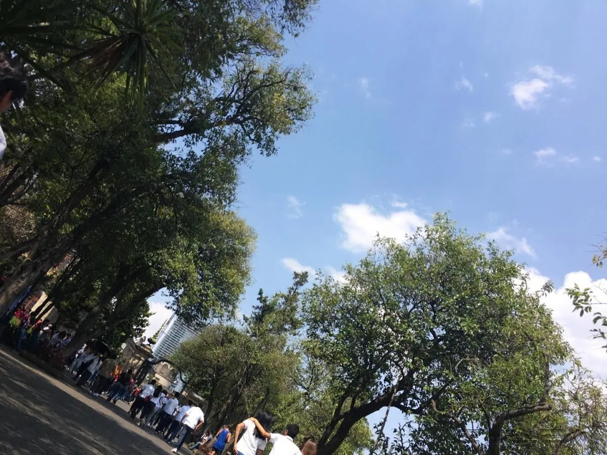 La imagen 90 de la Empresa FOTO PLAZA SA DE CV